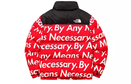 Пуховик серии North Face X Tnf Joint унисекс Supreme