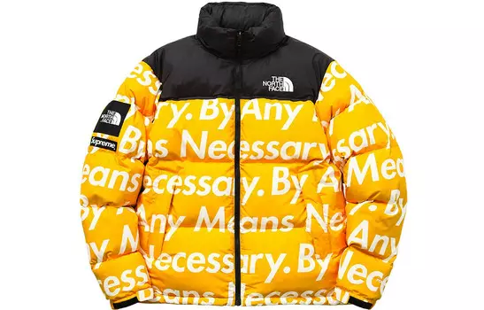 Пуховик серии North Face X Tnf Joint унисекс Supreme