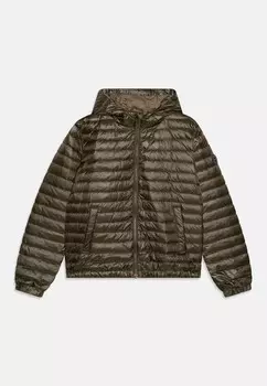 Пуховик SHINY LIGHT PADDED UNISEX GANT, оливковый