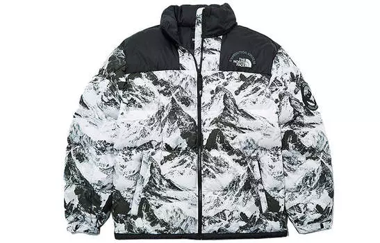 Пуховик The North Face Novelty Eco Gtx Mountain, белый/черный