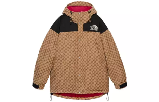 Пуховик Gucci x The North Face, коричневый / черный
