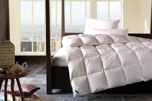 Пуховое одеяло Billerbeck "Ebby 50 Mono 200х200 см, белый