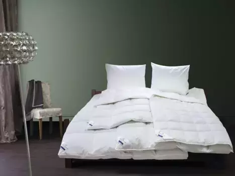 Пуховое одеяло Billerbeck "Элиана 90, пуховое одеяло 135х200, 155х220, 200х200 см, лето", легкое, наполнитель 90% пух, 10% перо, чехол 100% хлопок, (1 шт.), пуховое одеяло на весь год 135х200 см, белый