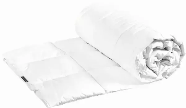 Пуховое одеяло Centa Star