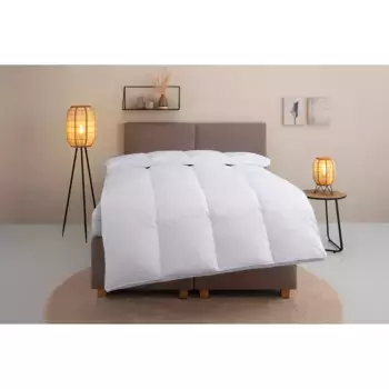 Пуховое одеяло для дома "Шевильон 135х200 см, 155х220 см и другие размеры", теплое, наполнитель 90% пух и 10% перо, чехол 100% хлопок, (1 шт.), одеяла летние, зимние, подходят для аллергиков (дом аллергики на пыль) Home Affaire, белый