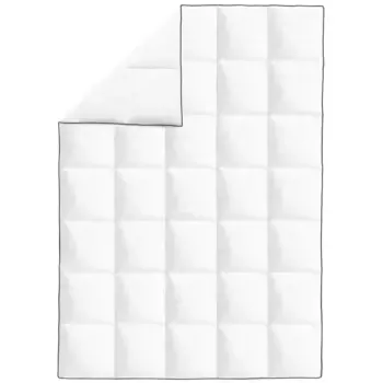 Пуховое одеяло DOTMALL