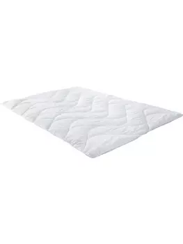 Пуховое одеяло Erwin Mller, белый