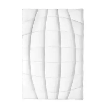 Пуховое одеяло Frankenstolz Gute Bettwaren