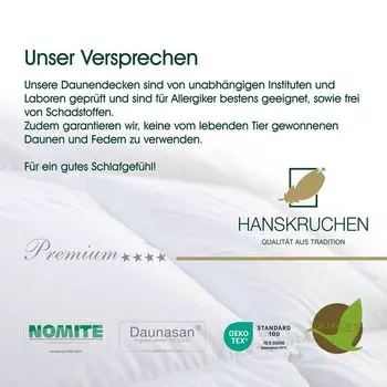 Пуховое одеяло Hanskruchen премиум 4 звезды экстралегкое 200 х 200 см HANSKRUCHEN GmbH