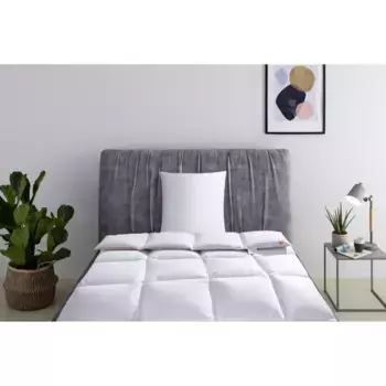 Пуховое одеяло + подушка RIBECO «Ричард, комплект постельного белья размером 135х200 или 155х220 см, лето или зима», (экономный комплект), RIBECO впечатляет качеством уже 105 лет, белый