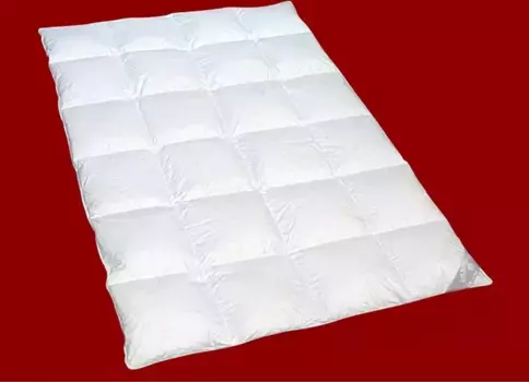 Пуховое одеяло Sluka