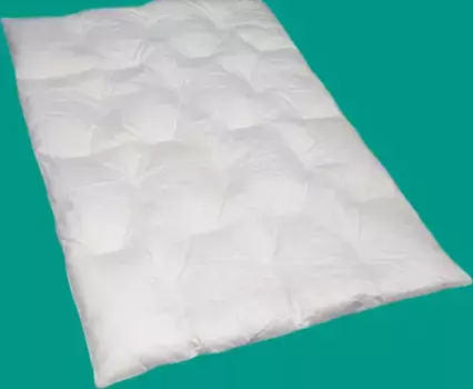 Пуховое одеяло Sluka