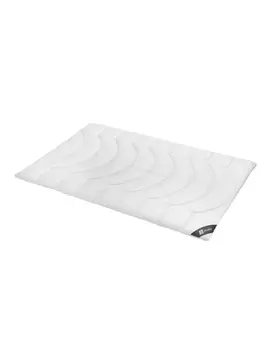 Пуховое одеяло Spessarttraum, белый