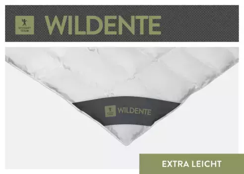 Пуховое одеяло Spessarttraum, белый