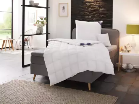 Пуховое одеяло SPESSARTTRAUM "Первый класс", очень легкое, наполнитель 90% пух / 10% перо, класс 1, сертифицировано Downpass, чехол 100% хлопок, экологически чистый (зеленого цвета) 200х200 см, белый