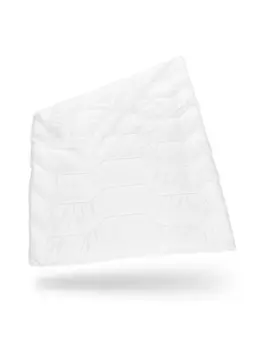 Пуховое одеяло Third of Life