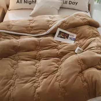 Пуховое одеяло Topchances