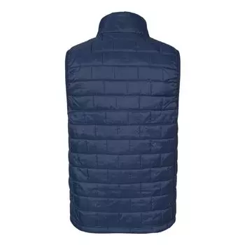 Пуховой жилет элементаля Burnside