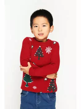 Пуловер ASSUILI Pullover, красный