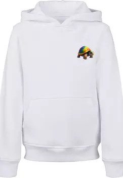 Пуловер F4NT4STIC Hoodie Rainbow Turtle HOODIE UNISEX, белый