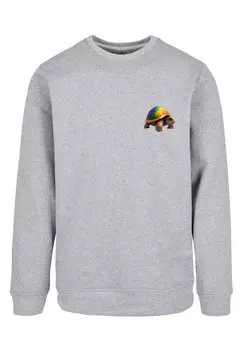Пуловер F4NT4STIC Sweatshirt Rainbow Turtle CREWNECK, цвет grau meliert