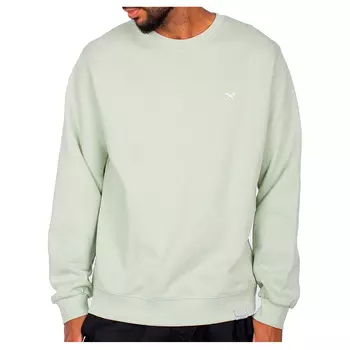 Пуловер Iriedaily Mini Flag 2 Crew, цвет Light Sage