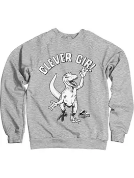 Пуловер Jurassic Park, серый