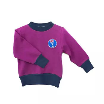 Пуловер MEGANAUTEN Aerobee01, цвет Blackberry Ice Cream