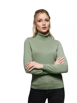 Пуловер Polo Club, зеленый