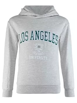 Пуловер с капюшоном Blue Effect, серый