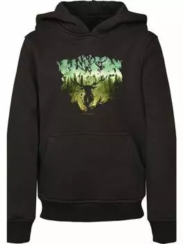 Пуловер с капюшоном F4NT4STIC, черный