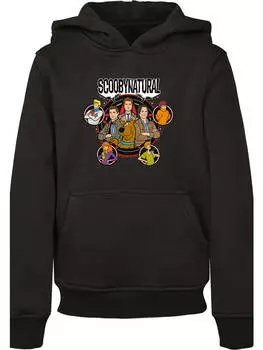 Пуловер с капюшоном F4NT4STIC, черный