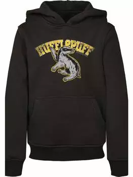 Пуловер с капюшоном F4NT4STIC, черный