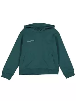 Пуловер с капюшоном Pangaia, зеленый