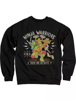 Пуловер Teenage Mutant Ninja Turtles, черный