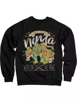 Пуловер Teenage Mutant Ninja Turtles, черный