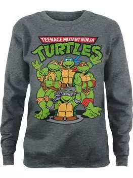 Пуловер Teenage Mutant Ninja Turtles, серый