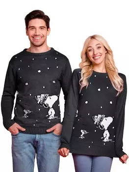 Пуловер United Labels The Peanuts Winterpullover - Snoopy, серый