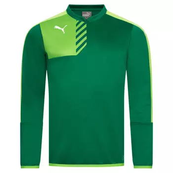 PUMA Mestre Мужская толстовка для тренинга
