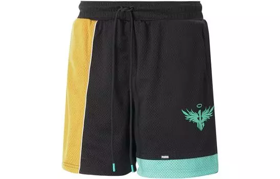 Puma Мужские спортивные шорты, цвет Black
