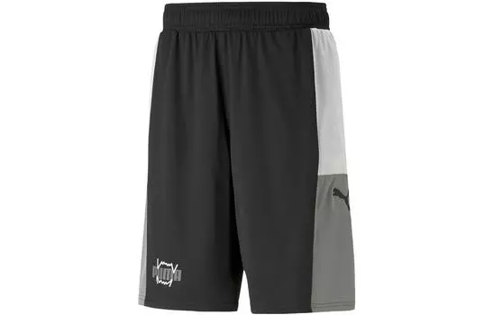 Puma Мужские спортивные шорты, цвет Black/Gray