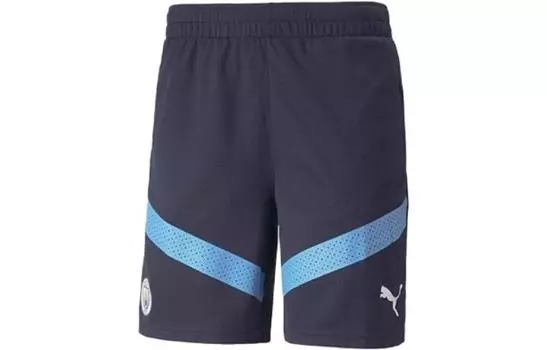 Puma Мужские спортивные шорты, цвет Blue