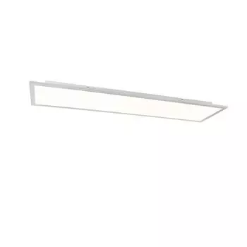 QAZQA - Modern Modern LED панель сталь I серебро I матовый никель 120 см вкл. LED - Лив I гостиная I спальня - пластик прямоугольный - I (несменный) LED