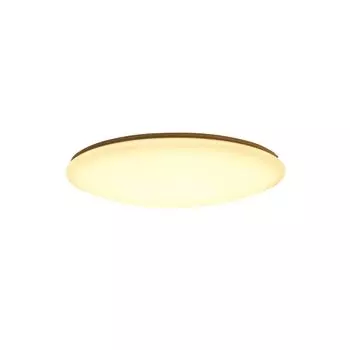 QAZQA - Современный светодиодный потолочный светильник I Потолочный светильник I Лампа I Light 60 см с дистанционным управлением - Диммер Extrema I Диммируемая I Гостиная I Спальня - пластиковый круглый - I (не заменяемый) LED, белый