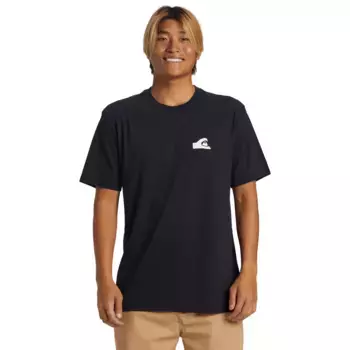 QS Mikey Quiksilver Мужская футболка, чёрный