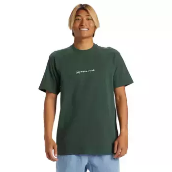 QS Rushed Мужская футболка Quiksilver, зеленый