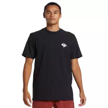 QS Thorn Logo DNA Quiksilver Мужская футболка, чёрный