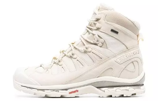 Quest 3 4D Gore-Tex Advanced Turtledove Vintage Khaki Salomon