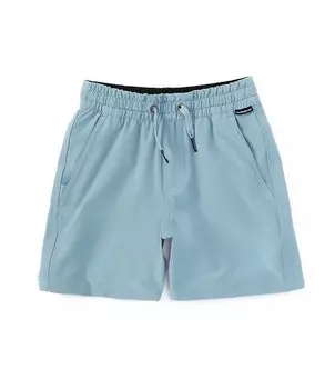 Quiksilver Little Boys 2T-7 Амфибия 13Шорты для доски с внешним швом, серый