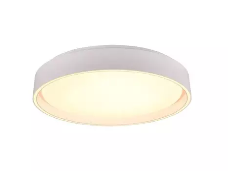 R64391031 Потолочный светильник FELIS матовый белый светодиод, 24 Вт, высота ок. 7 см. Reality Leuchten